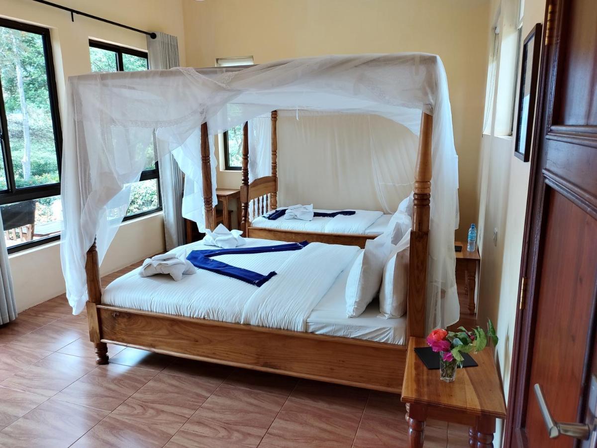 Tanzanice Farm Lodge Карату Екстер'єр фото