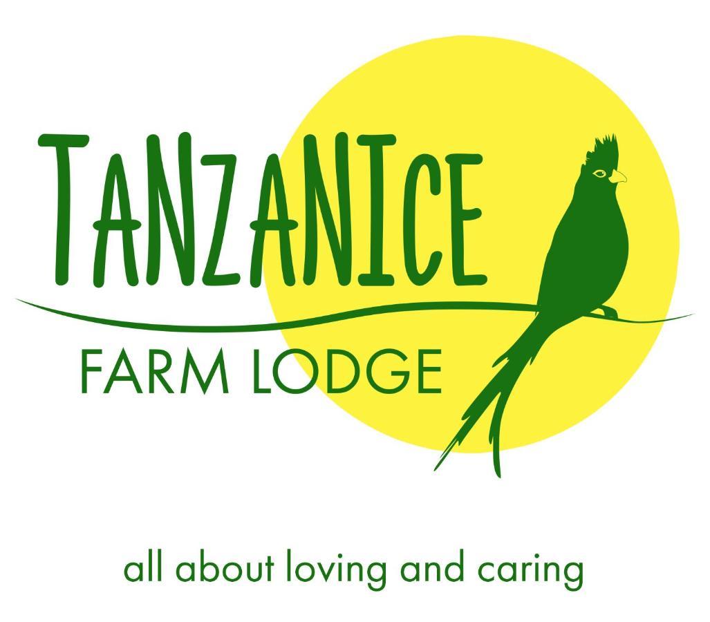 Tanzanice Farm Lodge Карату Екстер'єр фото