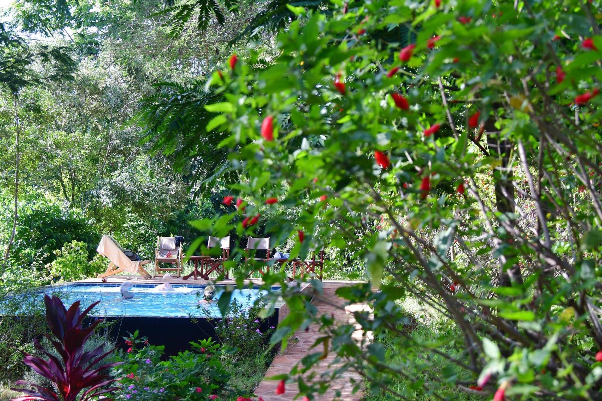 Tanzanice Farm Lodge Карату Екстер'єр фото